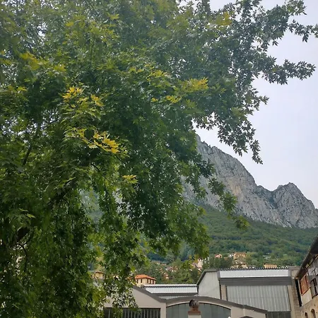 Maple Creek 레코